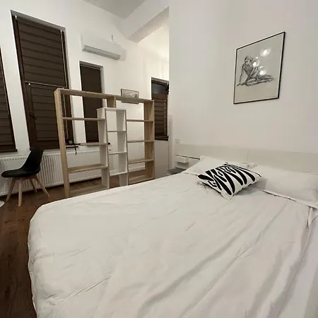 Apartament Cismigiu *