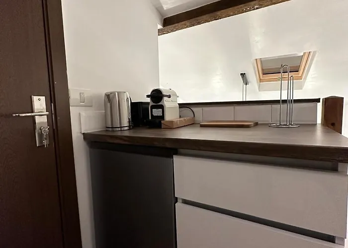 Lägenhet Cismigiu