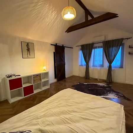 Cismigiu Appartement *