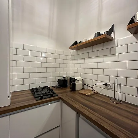 Apartmán Cismigiu *