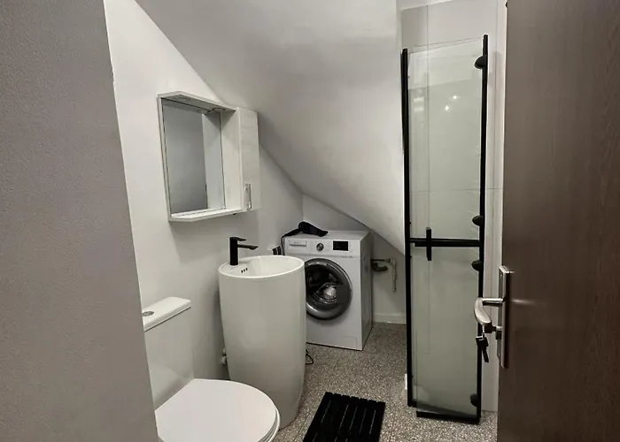 Apartamento Cismigiu Bucarest
