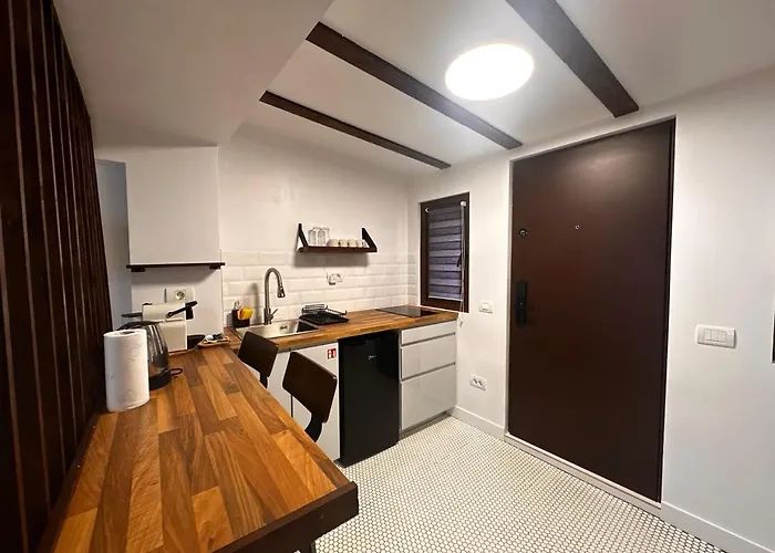 Appartement Cismigiu *
