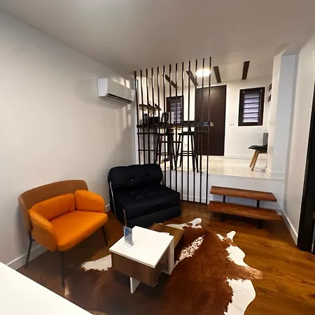 Apartment Cismigiu *